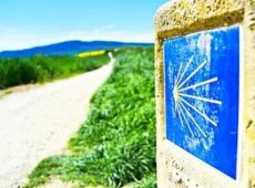 camino c Camino coaching